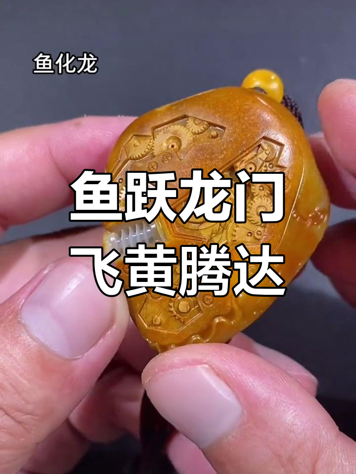 逆流而上,化龙成仙