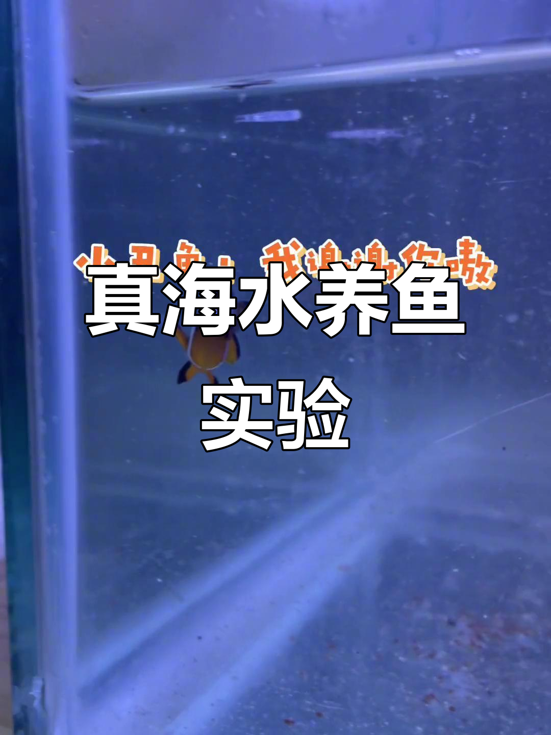 用真海水养鲨鱼,挑战极限水质管理