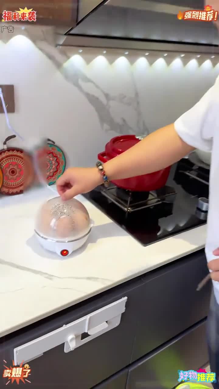 米虹家用煮蛋神器 蒸蛋器 h