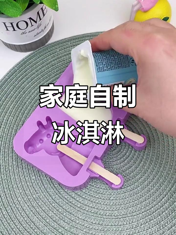自制冰淇淋大挑战,各种口味任你选