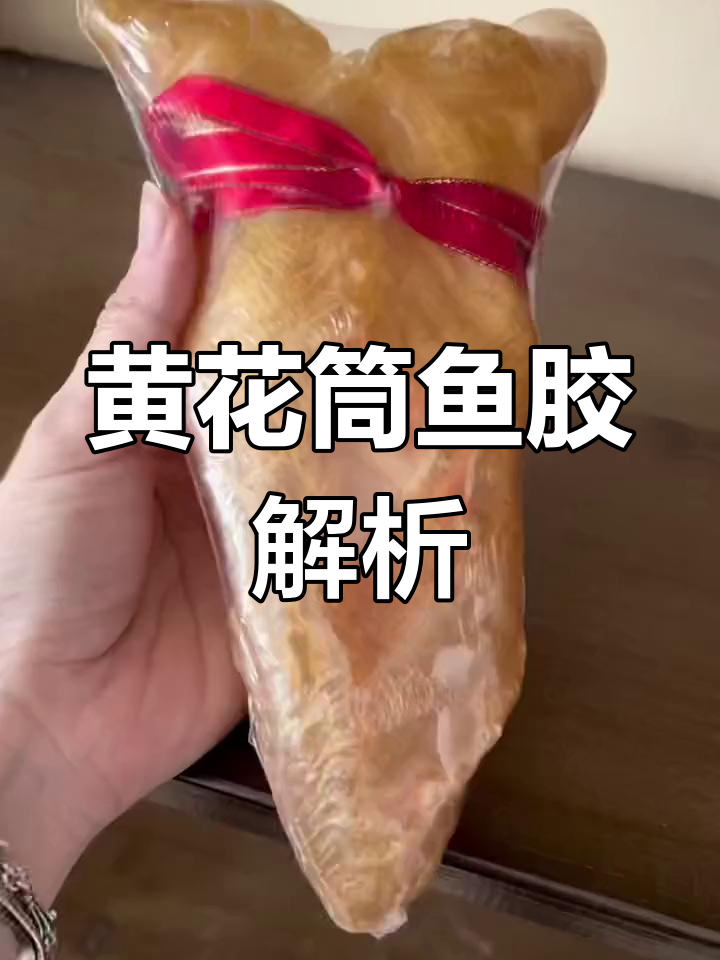 黄花筒鱼胶：产量大但价格高，真假难辨