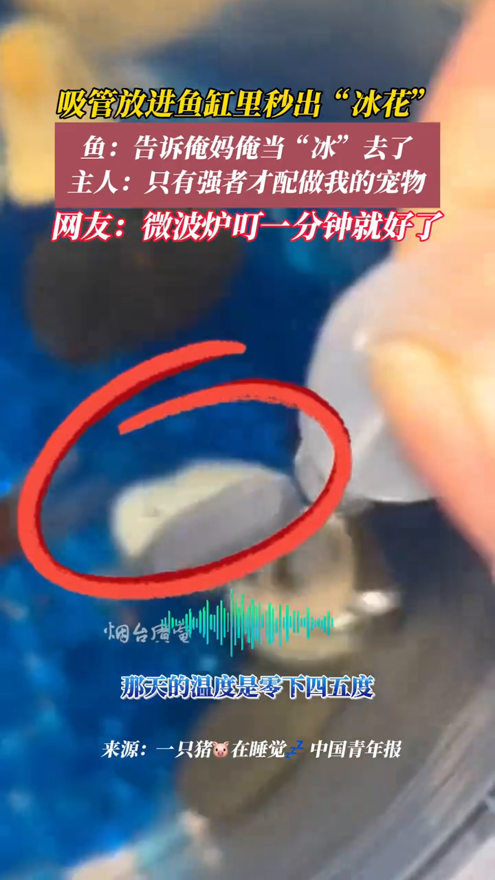 女生把吸管放入鱼缸里,瞬间变出“冰花”,鱼也冻住了……
