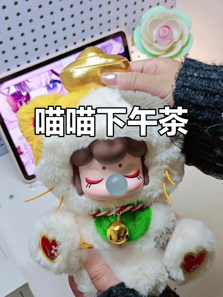 喵星人下午茶时光,萌态十足超可爱