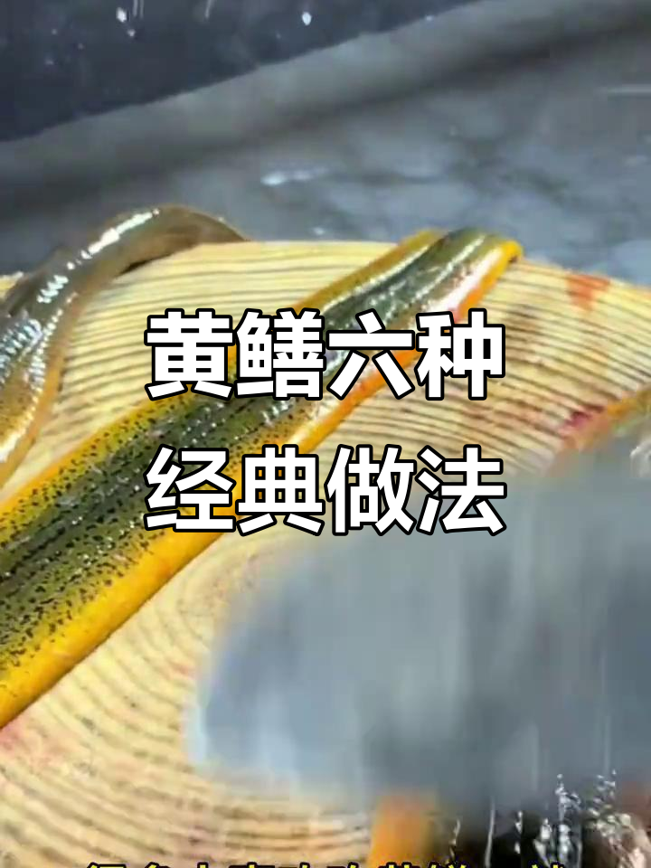 六种黄鳝做法,家常美味全掌握
