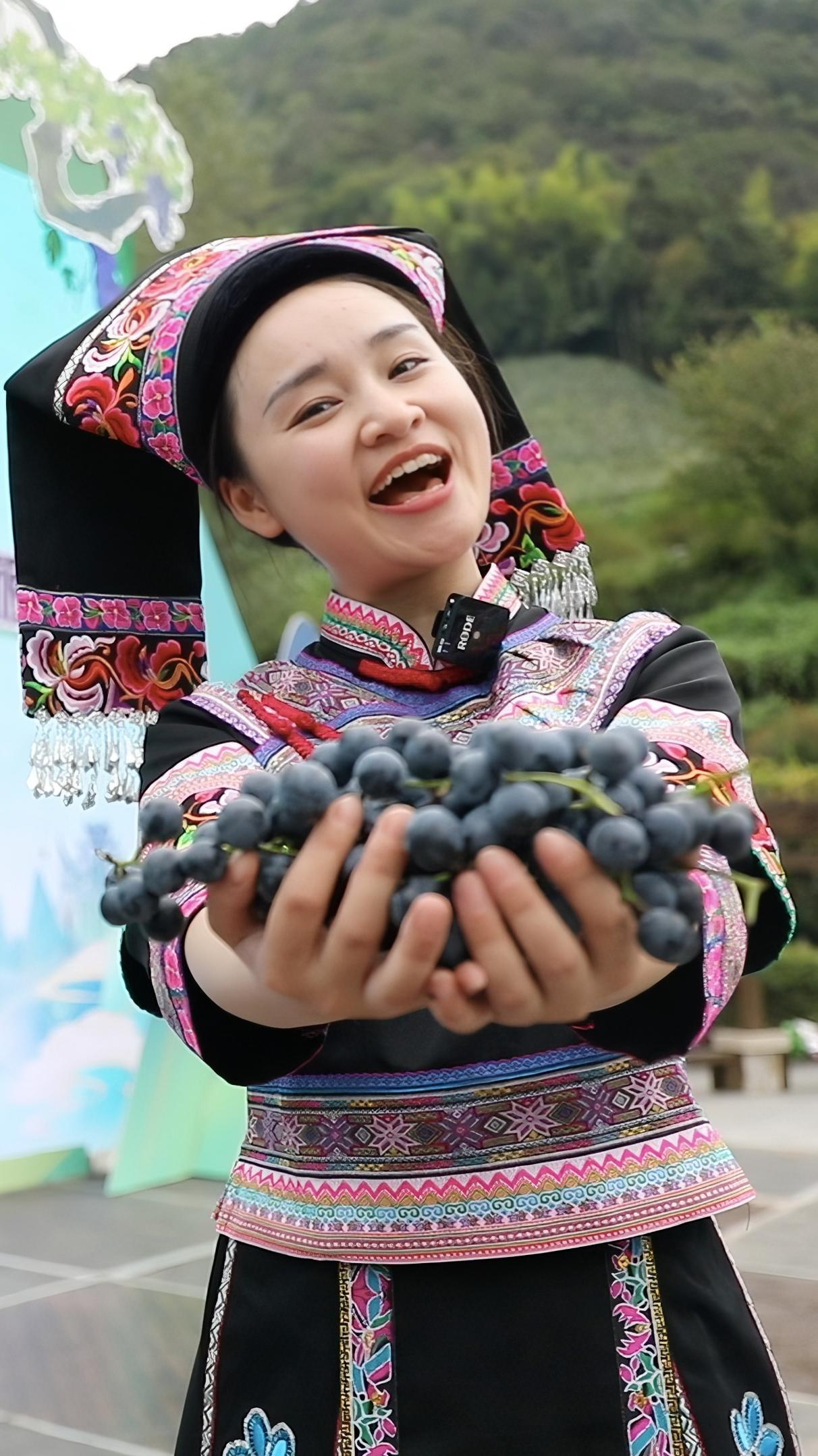 哥哥姐姐,这一山的葡萄都归你哦 刺葡萄 刺葡萄酒 2023湖南中方县旅发大会 民生关注 我