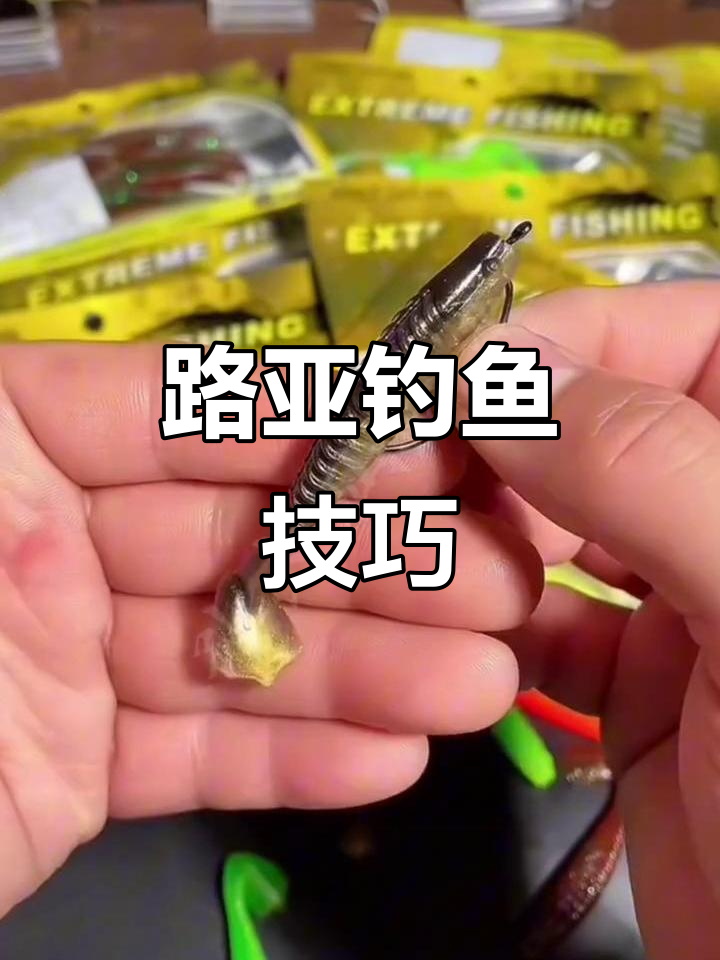 如何选择路亚饵并控制，才能钓到更多鳜鱼