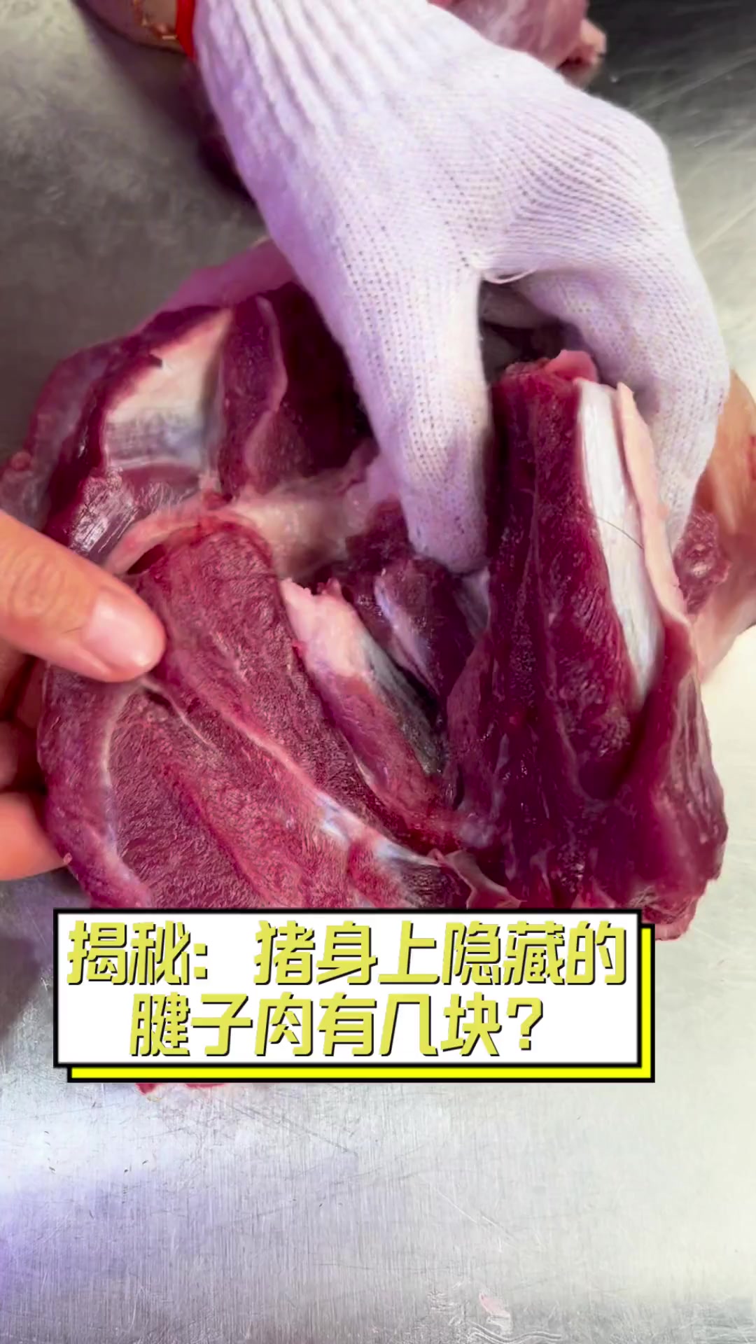 揭秘:猪身上隐藏的腱子肉有几块?