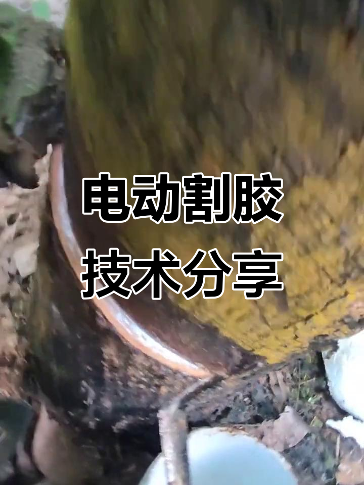 电动割胶刀使用技巧大公开,轻松掌握高效操作