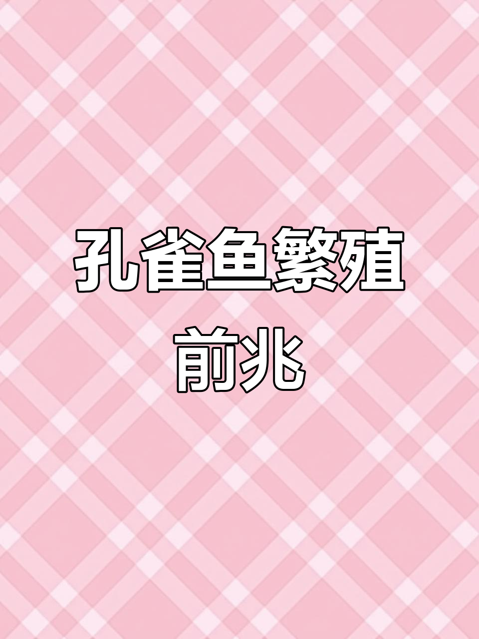 孔雀鱼繁殖前的征兆与表现,如何判断它们是否准备生小鱼