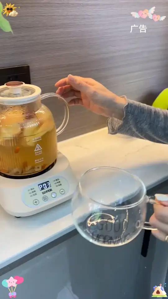 WIFER/英国新款养生壶花茶壶多功能家用玻璃办公室小型炖煮烧水壶