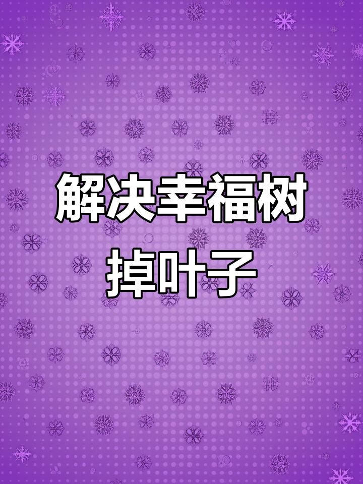 幸福树黄叶掉落?这些养护技巧帮你解决