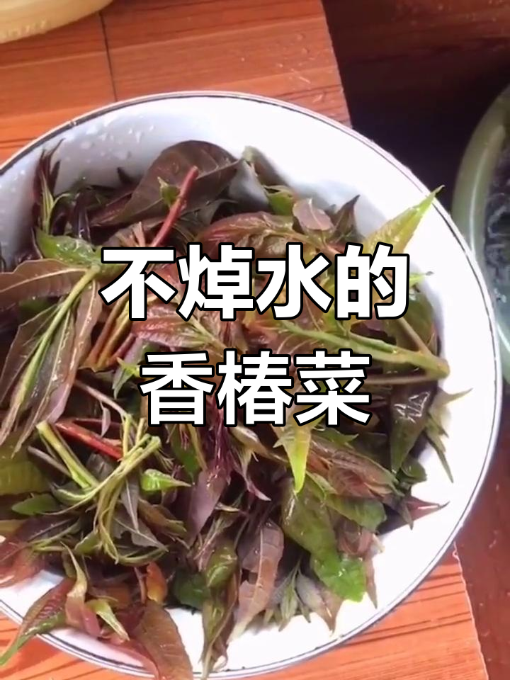 香椿苗凉拌新做法,简单又美味