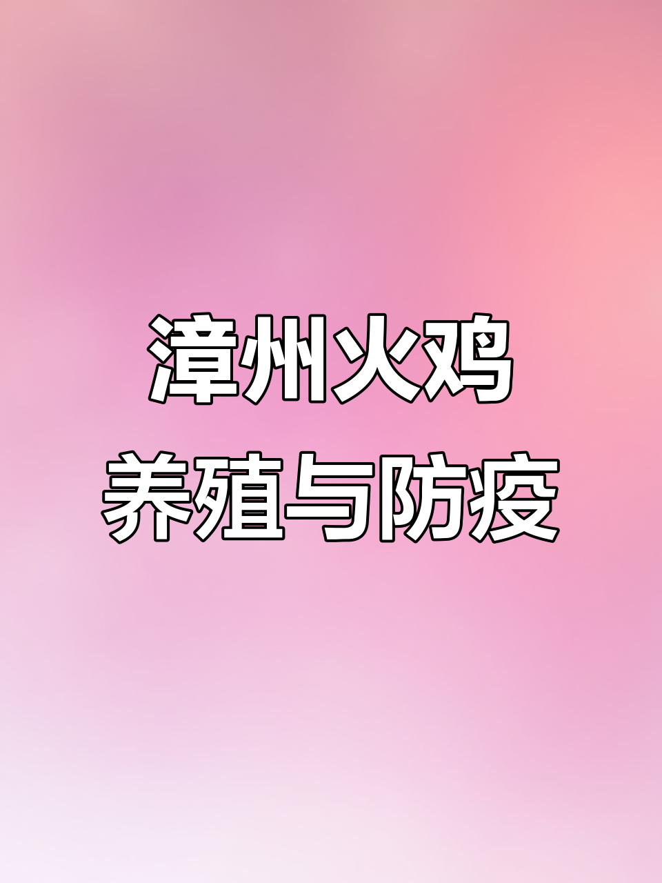 漳州市火鸡养殖基地,芦花鸡呼吸道疾病防控难题