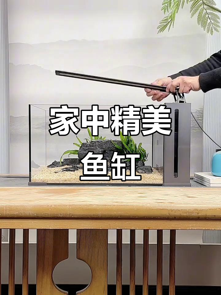 鱼缸设计精致，既美观又实用，适合多种家居摆放