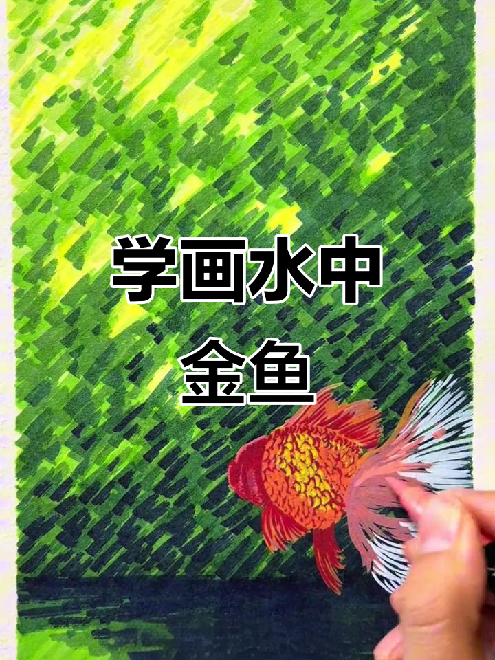 马克笔画金鱼,轻松掌握水缸里的生动细节