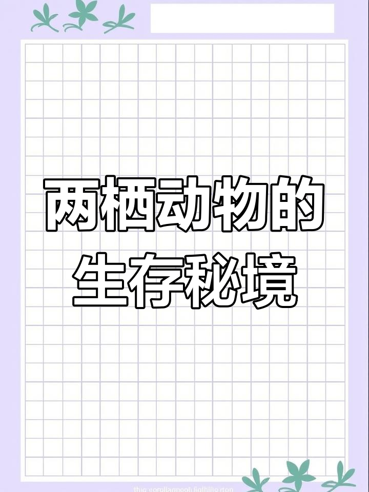 娃娃鱼幼体水生,成体隐匿于潮湿环境,难得一见的生物
