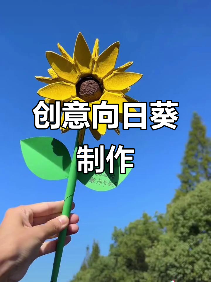 用鸡蛋托轻松打造向日葵,亲子DIY乐趣无穷!