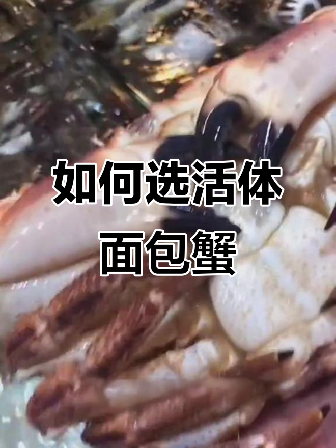 挑选活体面包蟹的技巧,教你如何避免买到“假货”