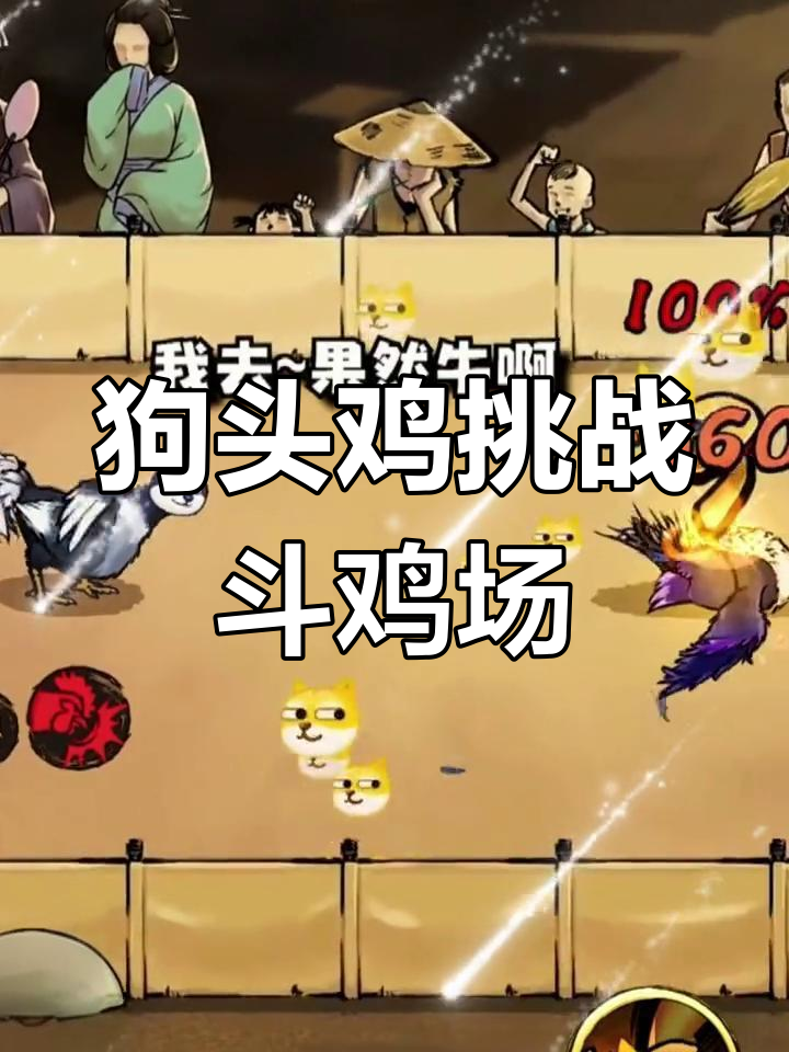 斗鸡场现身狗头鸡,竟然能一招KO对手!