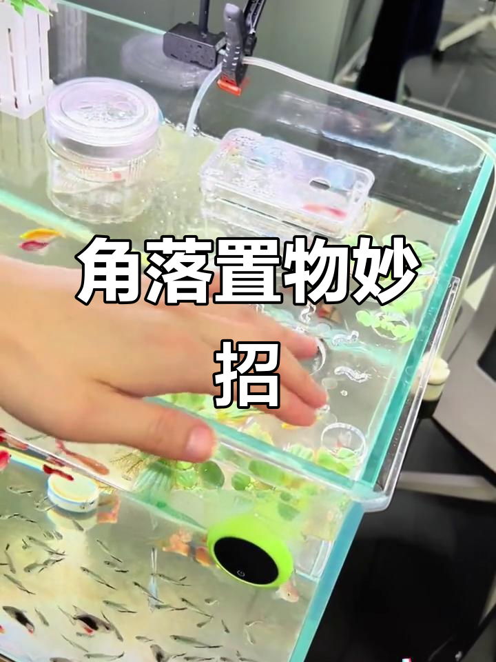 免安装置物架,鱼缸角落更整洁,装饰品轻松收纳