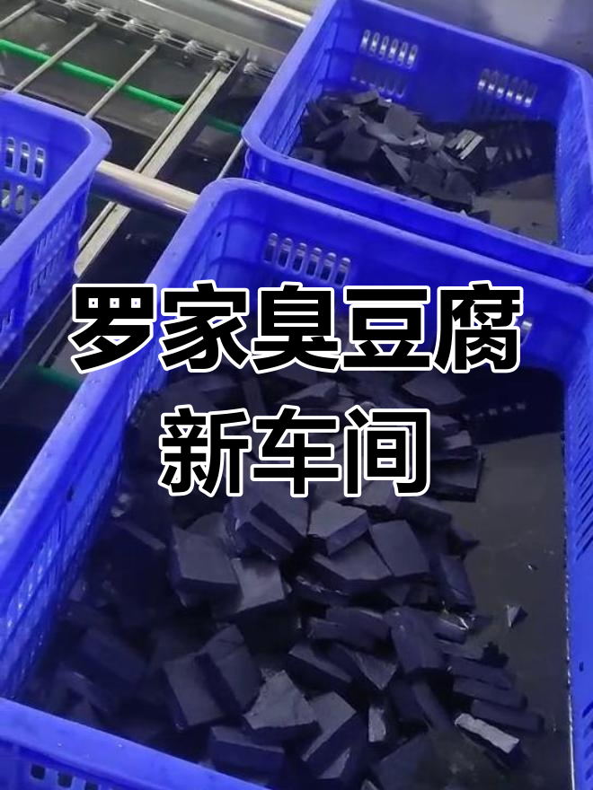 罗家臭豆腐新车间投产,技术升级带来全新体验
