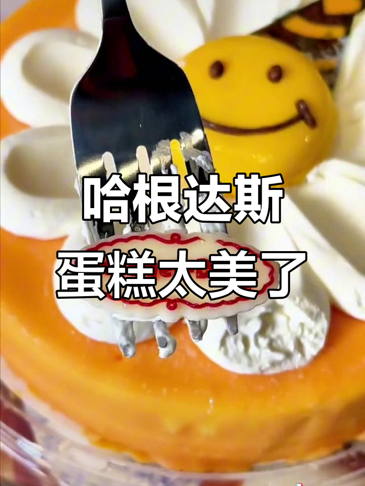 哈根达斯冰淇淋蛋糕，颜值与美味并存，舍不得下口！