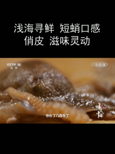 浅海寻鲜 短蛸口感俏皮 滋味灵动