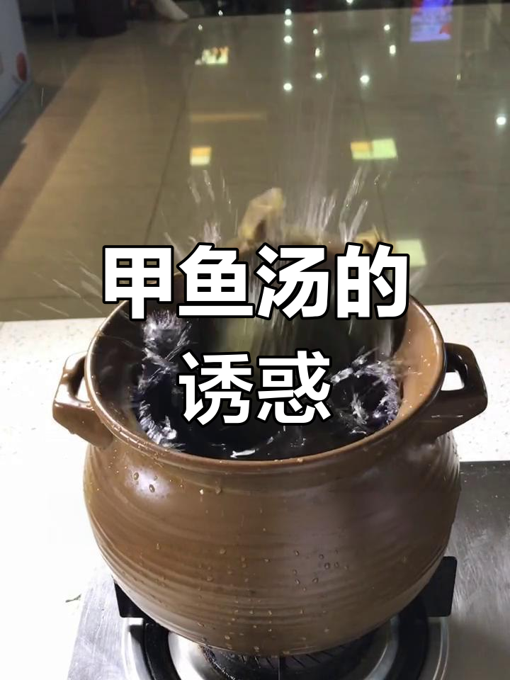 甲鱼汤,搭配乳鸽与木耳,香气扑鼻,滋补又美味