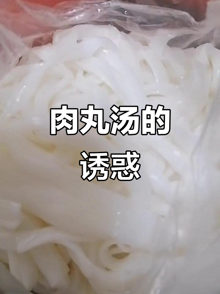 63克肉丸,简单又美味,紫金汤河粉让你回味无穷!