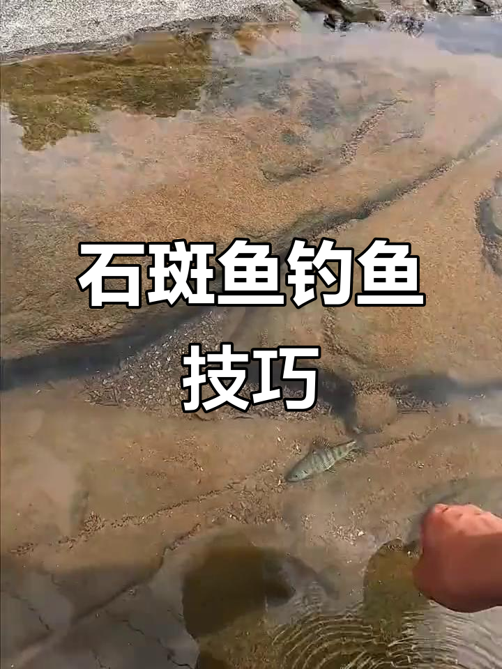 钓石斑鱼的技巧与打窝分量揭秘,如何避免空军
