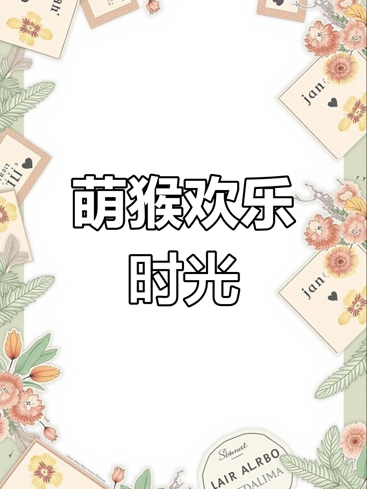 和萌猴一起嬉戏,倒挂金钩、荡秋千,超治愈!