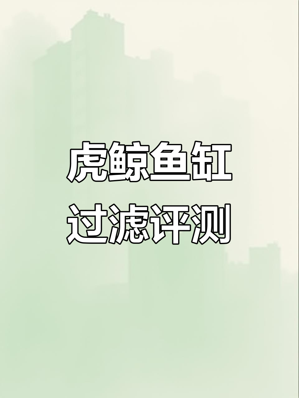 虎鲸鱼缸过滤效果实测:困水板与侧溢流搭配解析