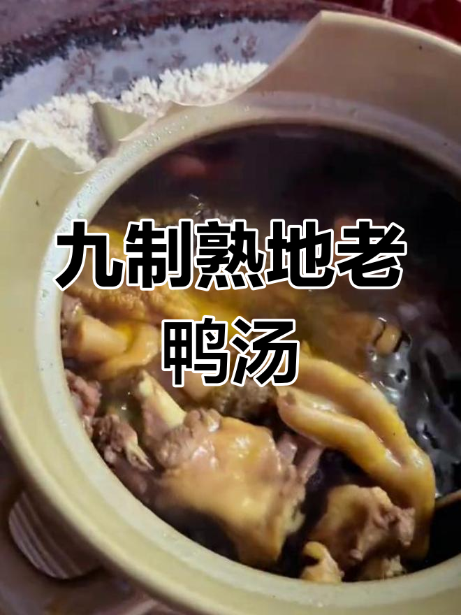 闽南冬季滋补汤:九制熟地炖番鸭