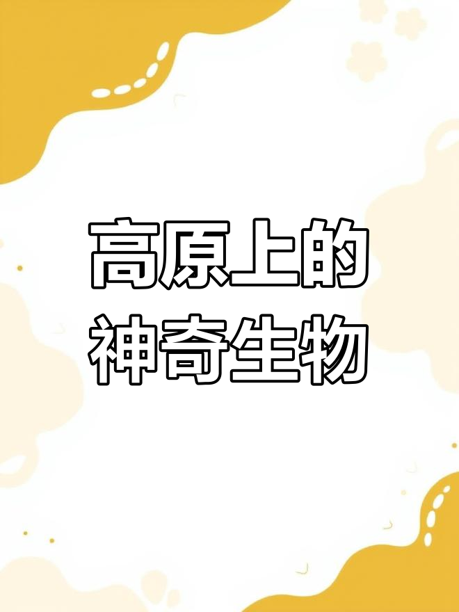 藏北高原:天然动物园的奇迹