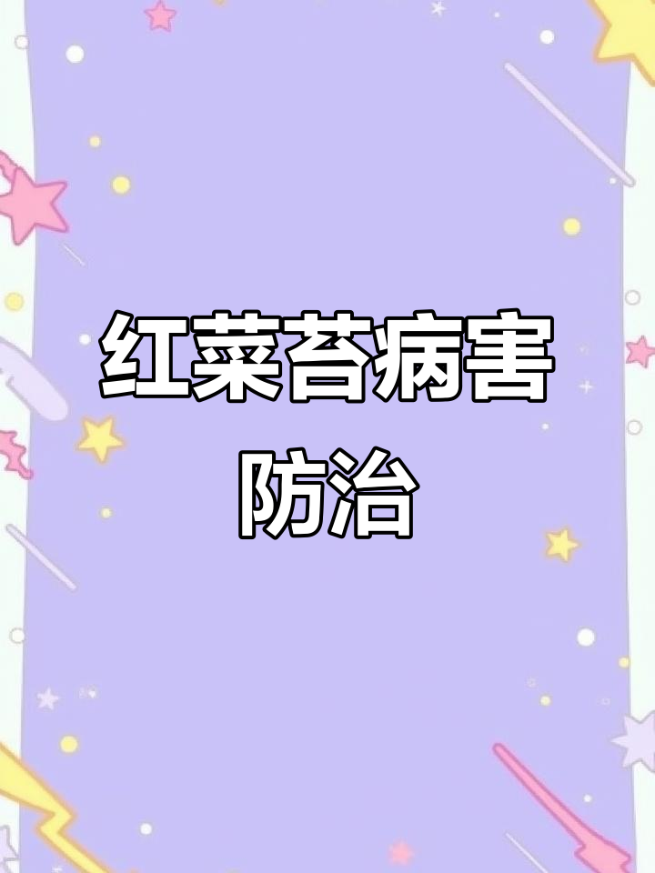 红菜苔病害全解析:症状、防治药剂与技巧