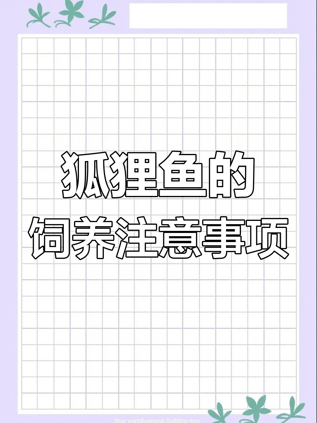 狐狸鱼与珊瑚的奇妙关系