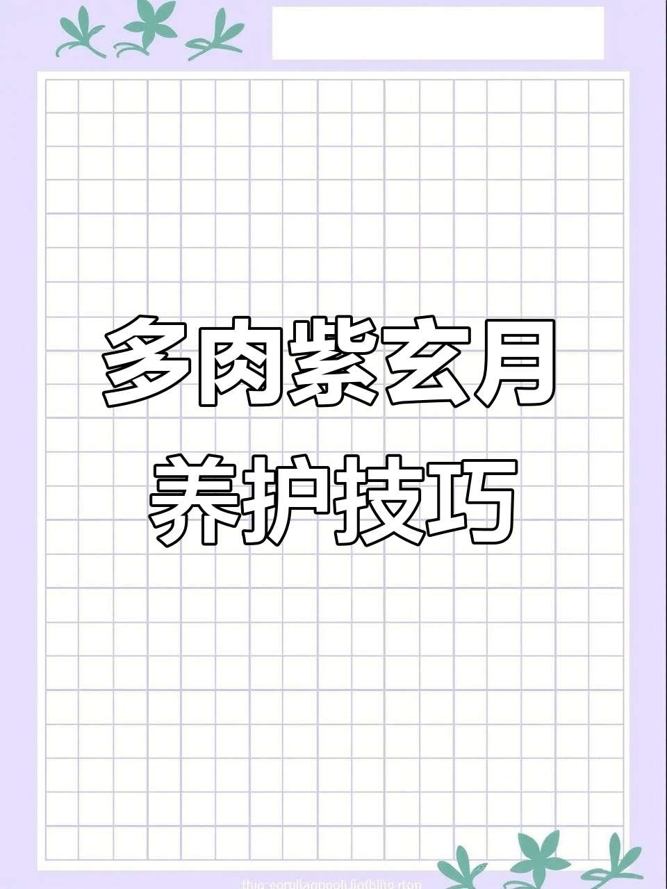 紫玄月多肉吊兰:轻松打造紫色垂钓植物,光照不足也能开花