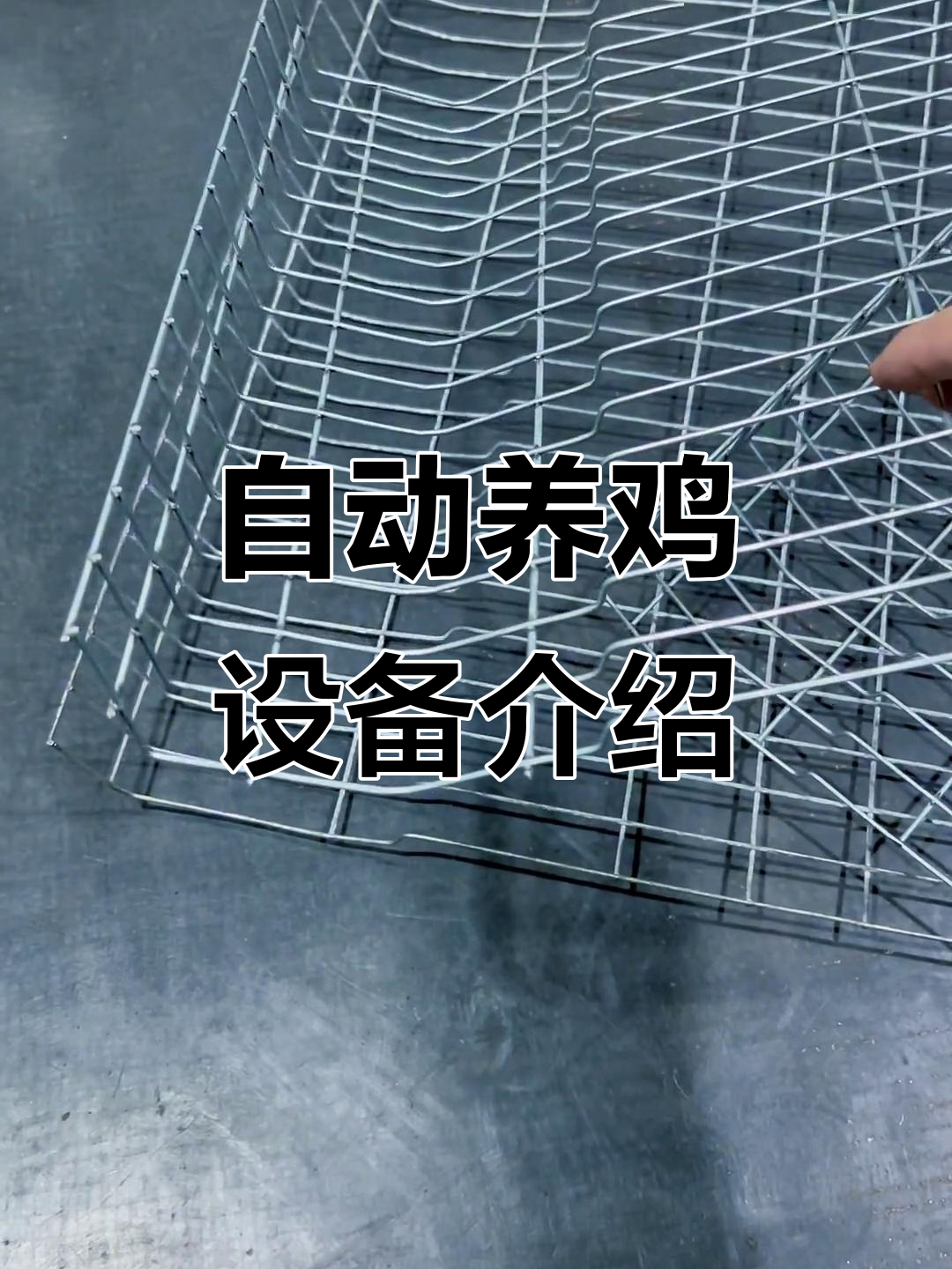 自动化养殖设备:鸡笼网、蛋托折弯机与模具全解析