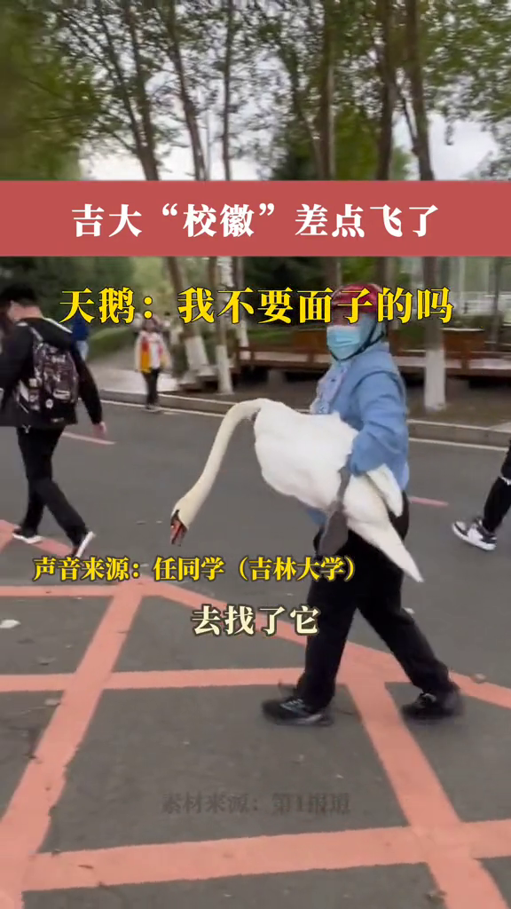 吉大“校徽”差点飞走,天鹅:我不要面子的吗?