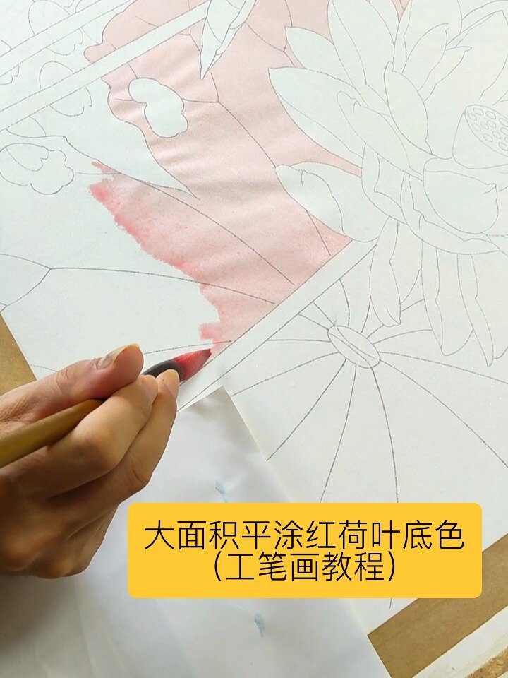 大面积平涂红荷叶底色(工笔画教程)