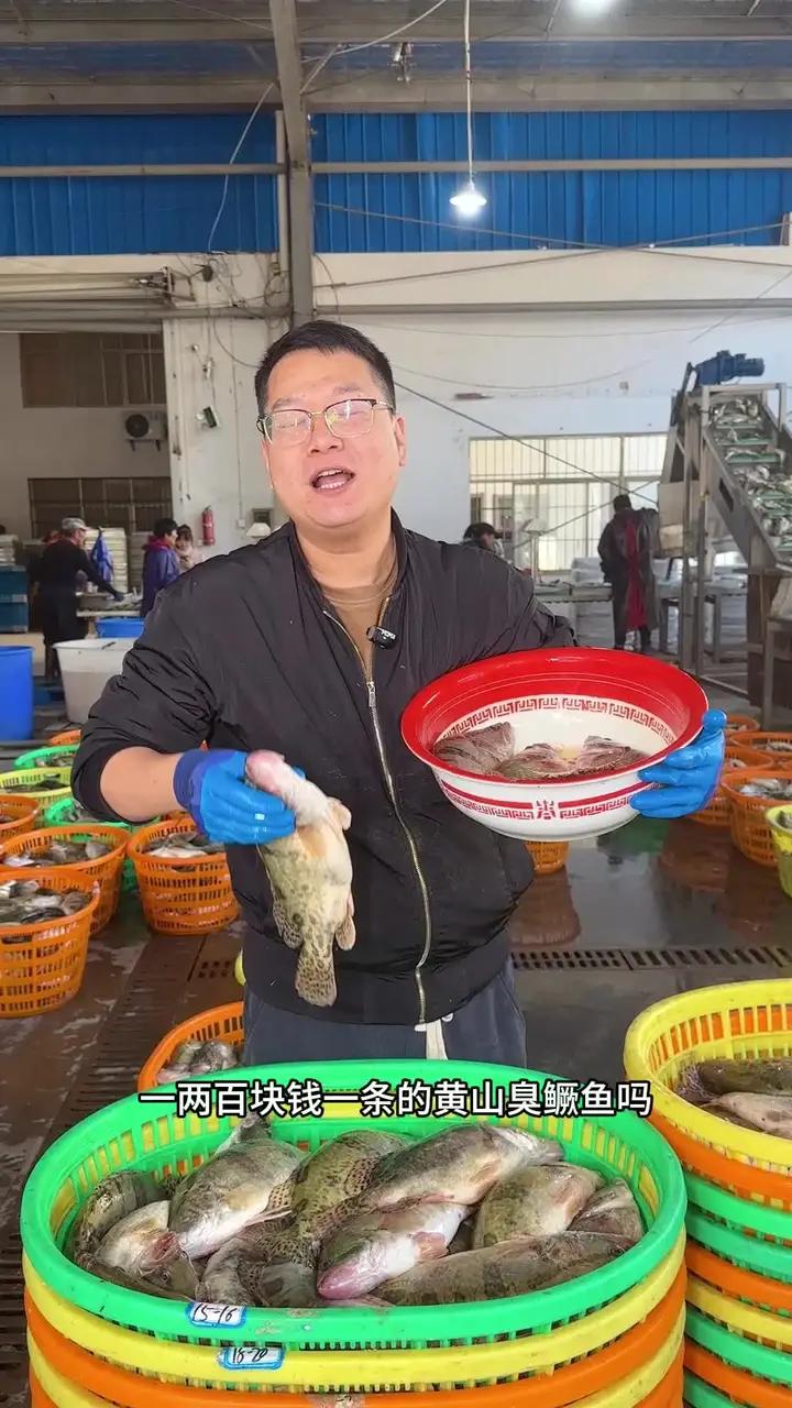 你还在外面吃一两百一条的臭鳜鱼吗 臭鳜鱼 安徽特产 专鳜臭鳜鱼 大鹏臭鳜鱼 臭鳜鱼做法