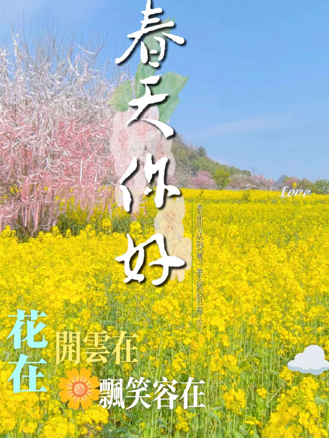 春天你好 油菜花 春天的色彩 热点话题 治愈系风景