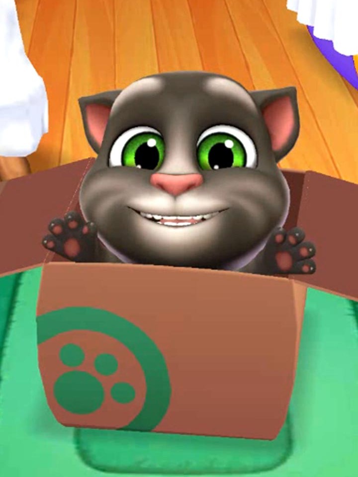 家有萌宠汤姆猫 我的汤姆猫2