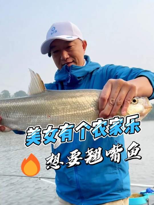 美女农家乐求翘嘴鱼！渔之源小蜻蜓二代成钓鱼顶流
