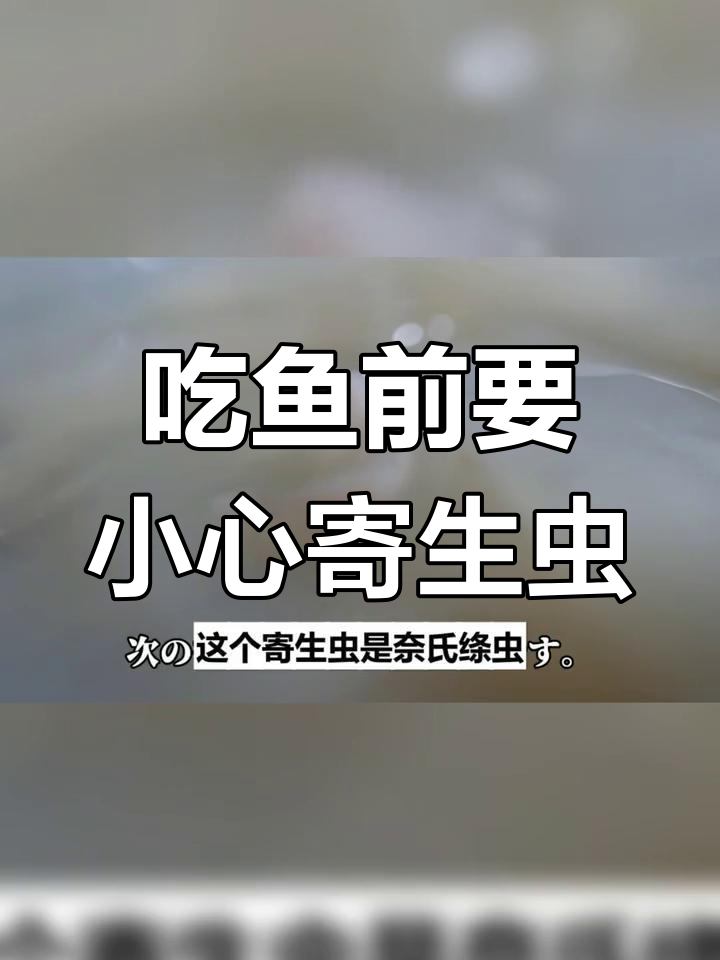 冷冻能杀灭海鲜寄生虫,确保安全食用