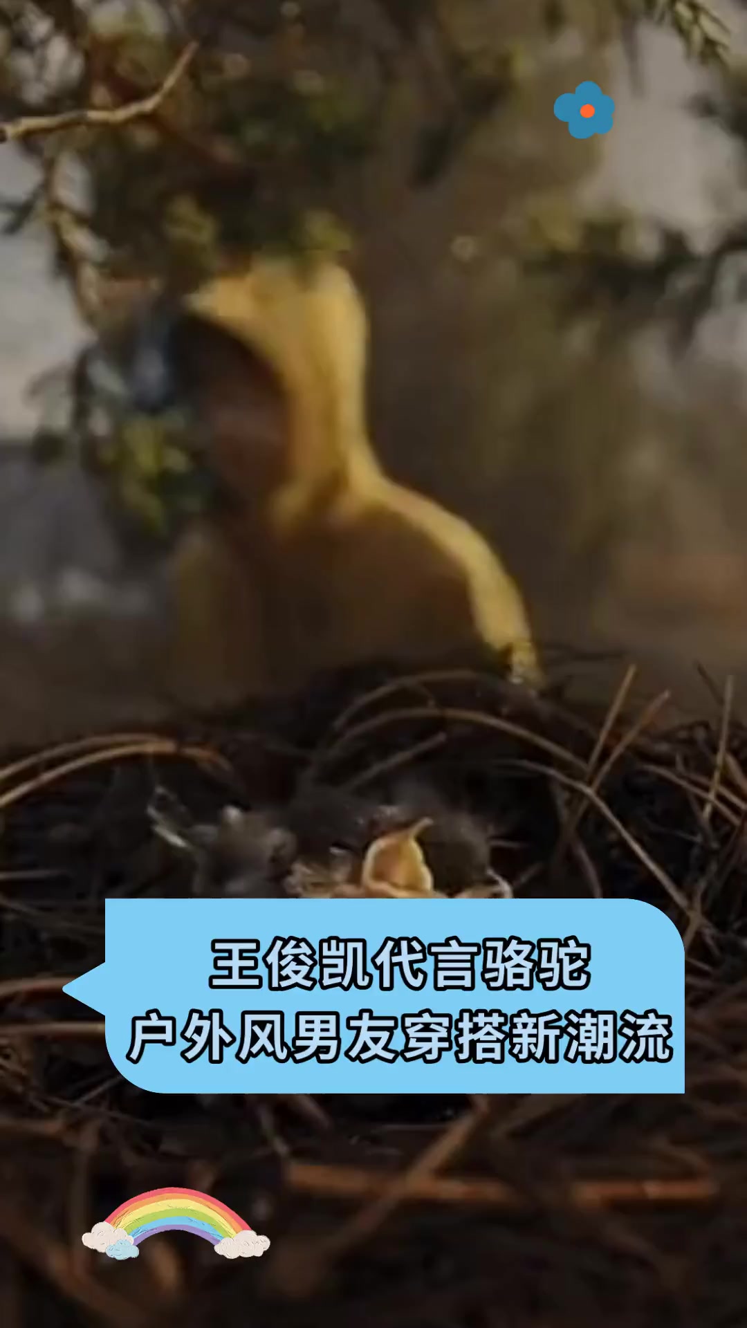 王俊凯代言骆驼,户外风男友穿搭新潮流