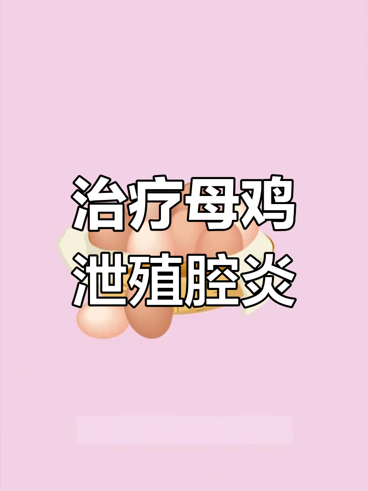 母鸡难产?试试这个简单方法