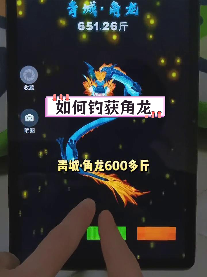 清晨角龙钓鱼技巧大揭秘