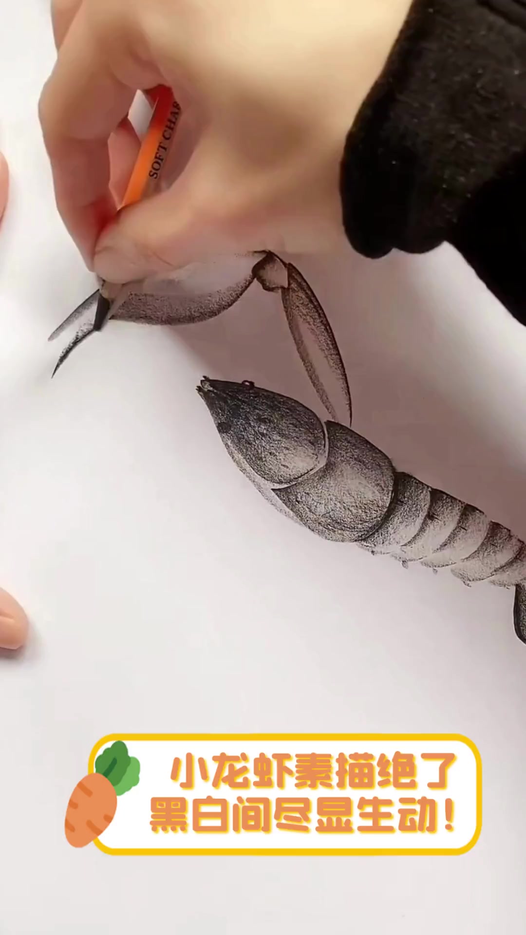小龙虾素描绝了,黑白间尽显生动!