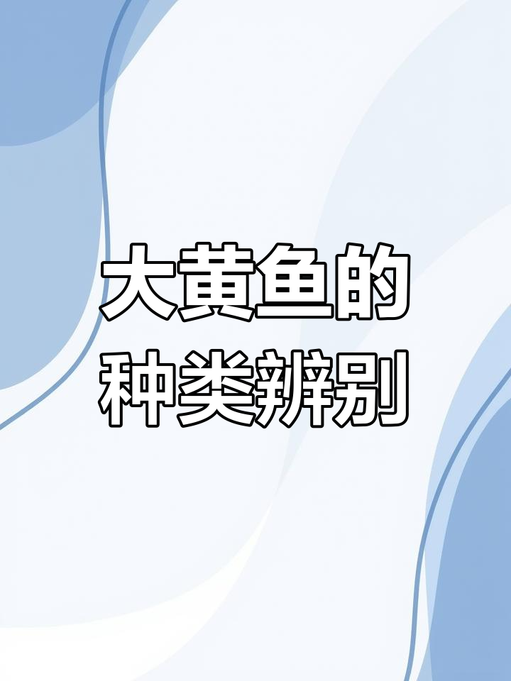 如何区分大黄鱼品种